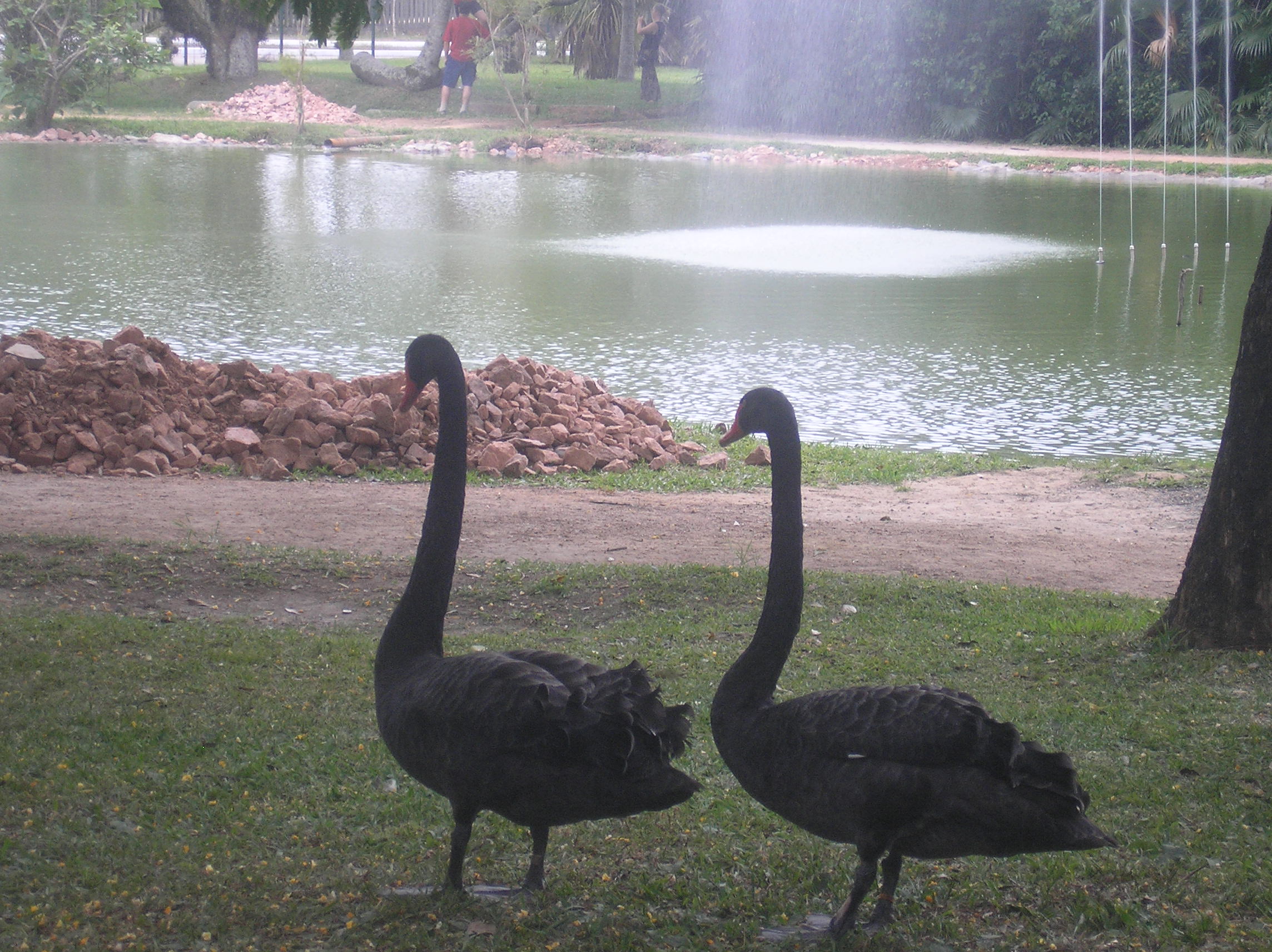 Jardim Botânico