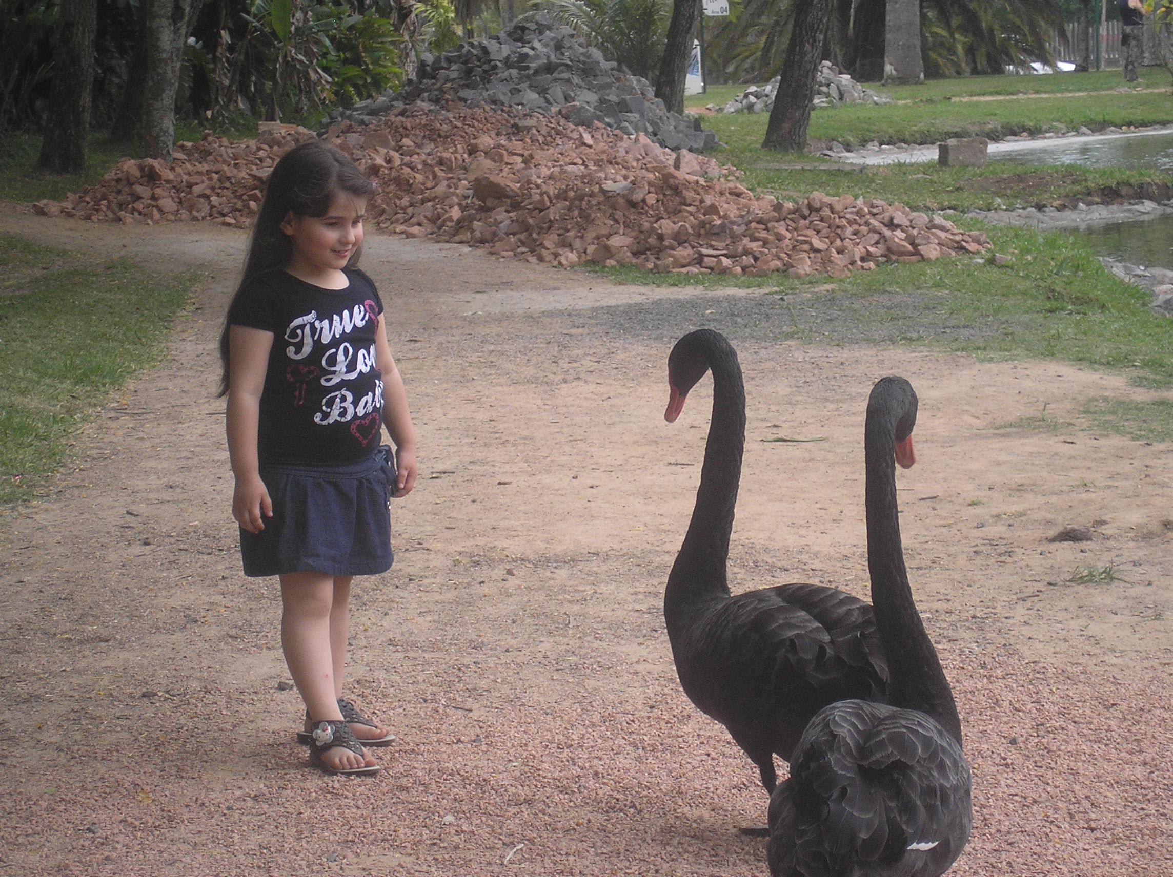 Jardim Botânico