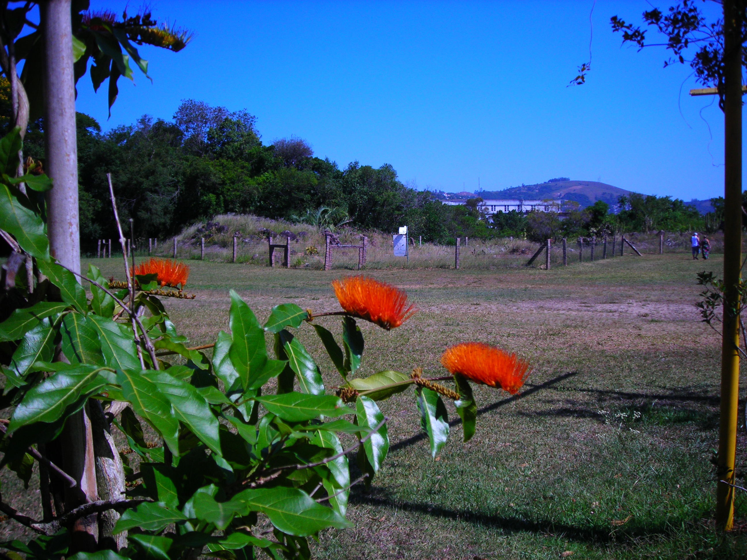 Jardim Botânico