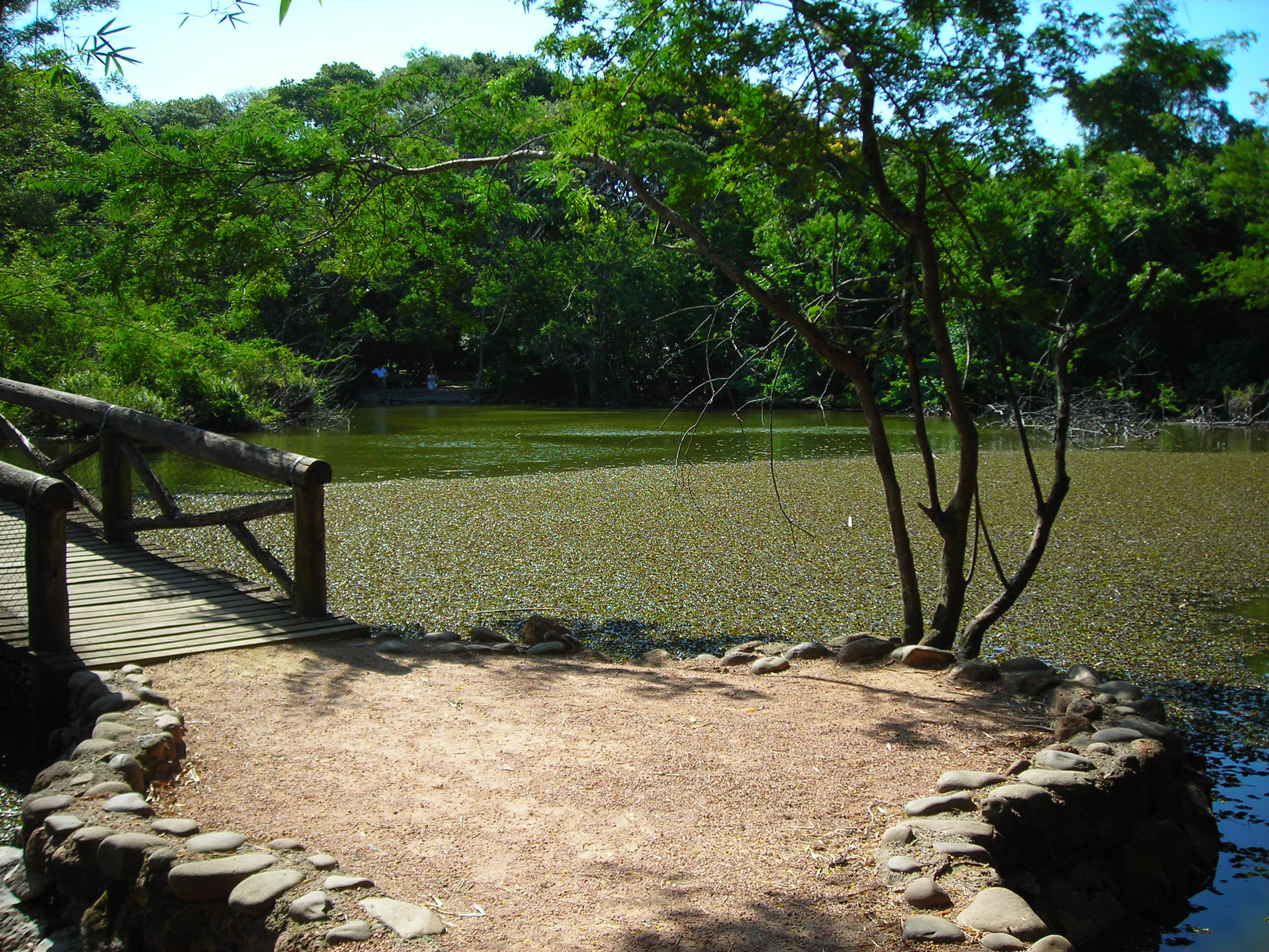 Jardim Botânico